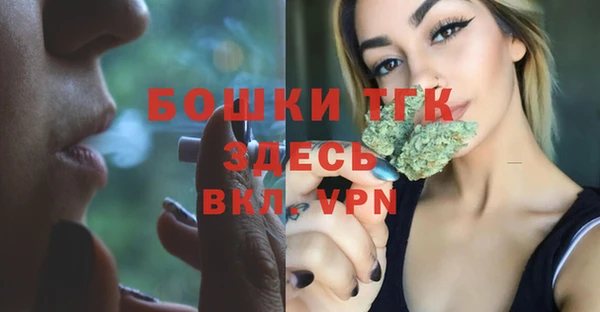 МДПВ Алексин