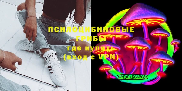 ешки Алексеевка