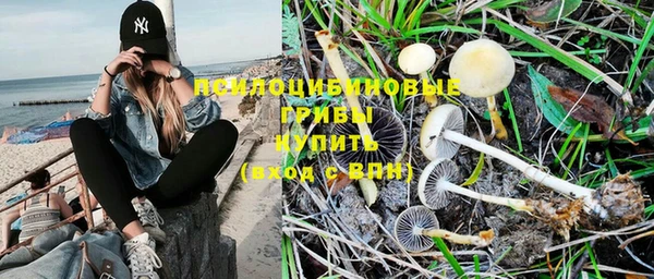 ешки Алексеевка